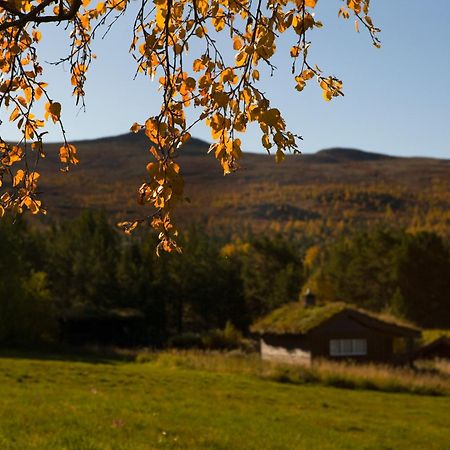 Oigardseter Fjellstue Hotel Hovringen Exterior photo